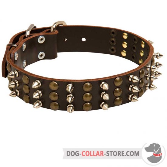 Walking Leather Dog Collar with Brass Studs and Nickel Plated Spikes