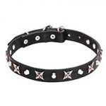 "Blazing Stars" 4/5 inch (25 mm) Decorated Leather Dog Collar