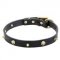 'Rock the Goth' Pure Leather Dog Collar
