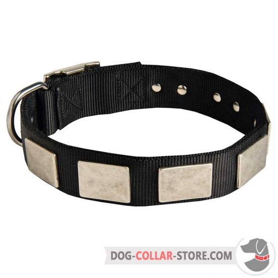 Nylon Dog Collar With Vintage Massive Silver Color Plates