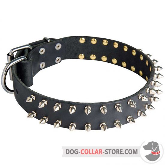 Incredible Leather Dog Collar Decorated with 2 Rows of Nickel Spikes