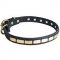 Gorgeous Leather Collar For Handling Medium Size Dogs