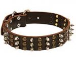 Walking Leather Dog Collar with Brass Studs and Nickel Plated Spikes