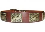 Luxury Leather Dog Collar with Large Plates