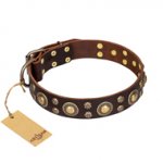 'Flower Melody' FDT Artisan Brown Leather Dog Collar with Mixed Studs for Daily Walking