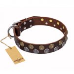 'Strong Shields' FDT Artisan Leather Dog Collar of Superior Design