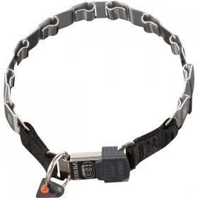 Stainless Steel Neck Tech Dog Prong Collar with Click Lock System