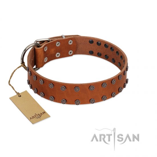 "Star Light" Stylish FDT Artisan Tan Leather dog Collar with Silver-Like Studs