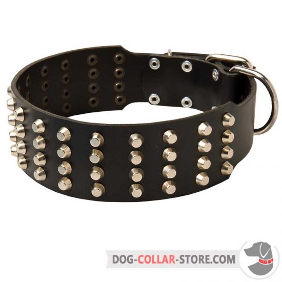 Leather Dog Collar Decorated with 3 Rows of Nickel Studs