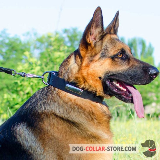 Leather German Shepherd Collar with Steel Nickel Plated ID Tag