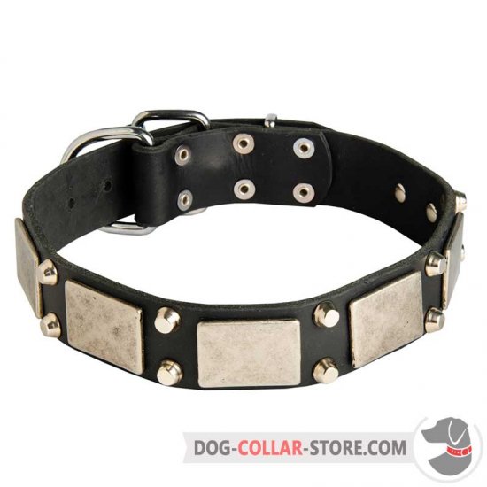 Decorative Leather Dog Collar with Nickel Plates