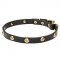 'Stamped Studs' 3/4 Inch Wide Leather Dog Collar