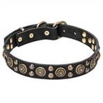"Boho Style" 1 1/4 inch (30 mm) Wide Leather Dog Collar