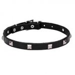 'A La Mode' Leather Dog Collar with Pyramidal Studs