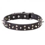 'Star-Studded Sky' Dog Walking Collar with Decorations