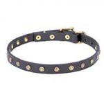 'Stars' Leather Dog Collar with Decorative Studs
