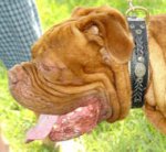 Royal Nappa Padded Leather Dogue de Bordeax Collar with Braids