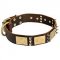 Stylish Leather Dog Collar for Everyday Walking and Training