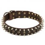 Fashion Leather Dog Collar Decorated with Spikes and Studs