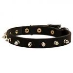 Elegant Thin Leather Dog Collar Decorated with Nickel Spikes