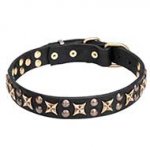 "Vintage Legacy" 1 1/4 inch (30 mm) Leather Dog Collar Decorated