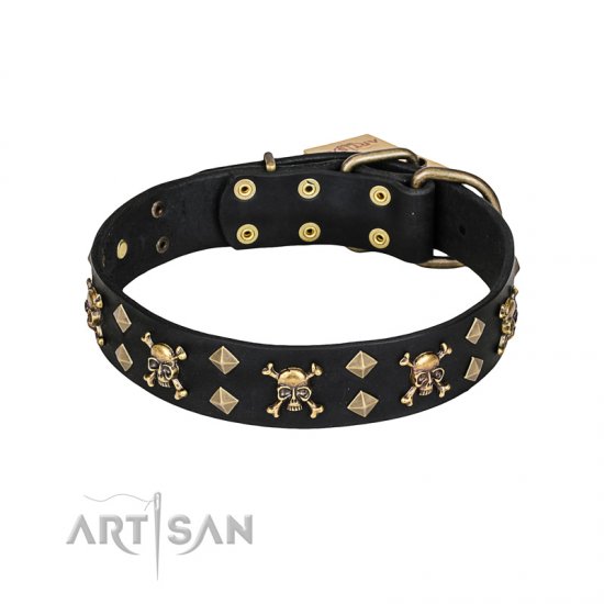 'Jolly Rojer' FDT Artisan Leather Dog Collar with Pirate Skulls and Studs