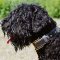 Royal Nappa Padded Leather Black Russian Terrier Collar