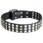 Studded Leather Dog Collar For Handling Strong Built Dogs