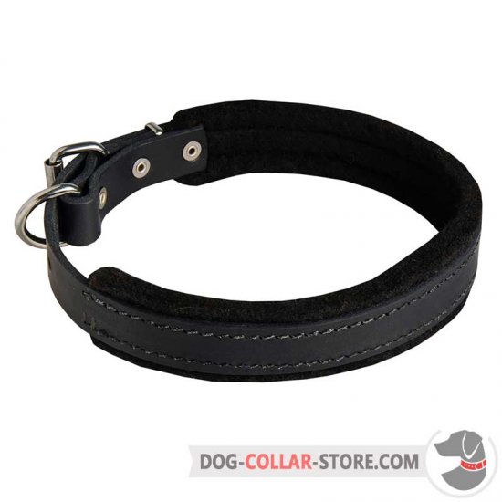 Felt Padded Leather Dog Collar for Training