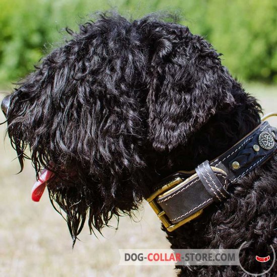 Royal Nappa Padded Leather Black Russian Terrier Collar