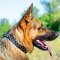 Studded Leather German Shepherd Collar For Everyday Walking and Training