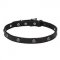 'Sparkling Beauty' Leather Dog Collar with Engraved Studs