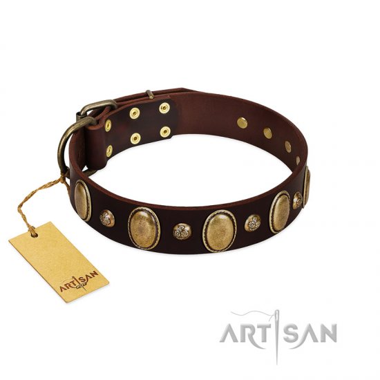 "Natural Grace" FDT Artisan Handmade Decorated Brown Leather dog Collar - Click Image to Close