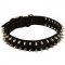 Fashionable Nylon Dog Collar with 2 Rows of Nickle Spikes