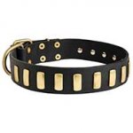Gorgeous Wide Leather Dog Collar With Plates