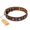 'High Fashion' FDT Artisan Charm Brown Leather Dog Collar