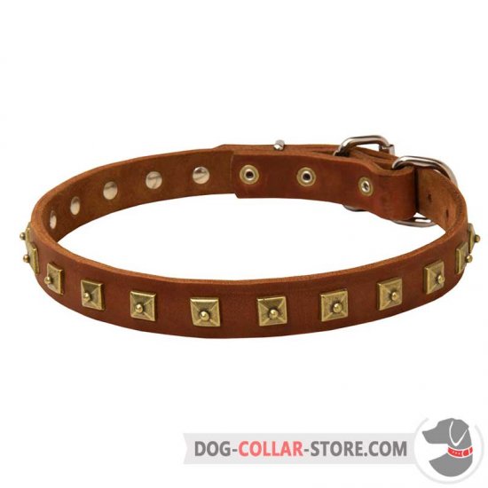 Outstanding Super Slim Leather Dog Collar Decorated With Brass Studs