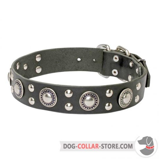 'Rock n Roll' Leather Dog Collar with Awesome Decorations - Click Image to Close