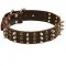 Walking Leather Dog Collar with Brass Studs and Nickel Plated Spikes