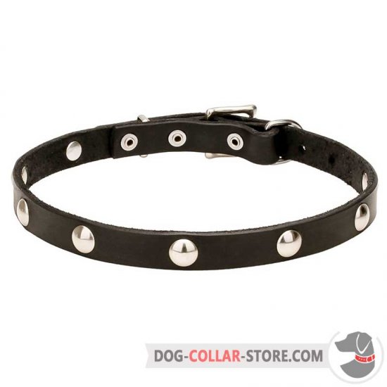 'Shiny Necklace' Leather Dog Collar Trendy Design