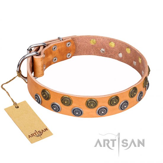 "Precious Sparkle" Handmade FDT Artisan Tan Leather Dog Collar with Luxurious Studs