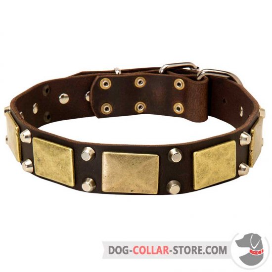 Originally Designed Leather Dog Collar