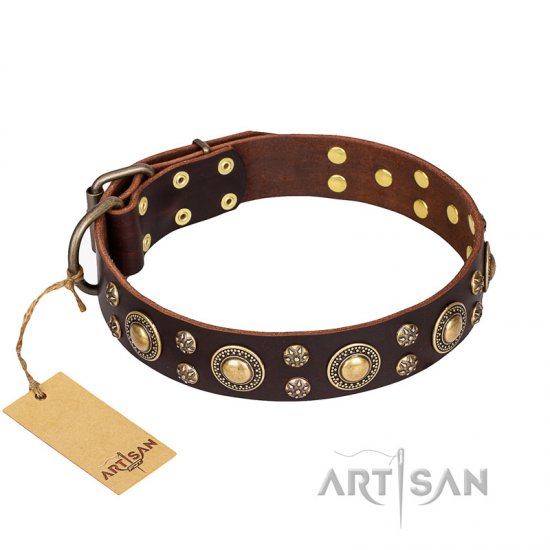 'Flower Melody' FDT Artisan Brown Leather Dog Collar with Mixed Studs for Daily Walking
