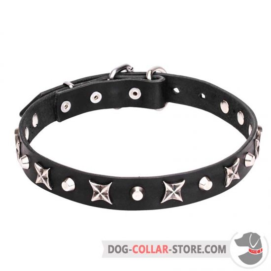 "Blazing Stars" 4/5 inch (25 mm) Decorated Leather Dog Collar