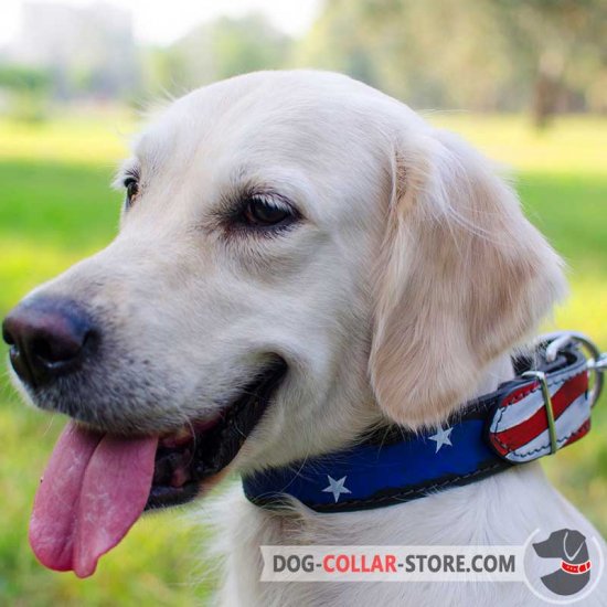 Leather Golden Retriever Collar Decorated With American Flag Painting