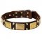Originally Designed Leather Dog Collar