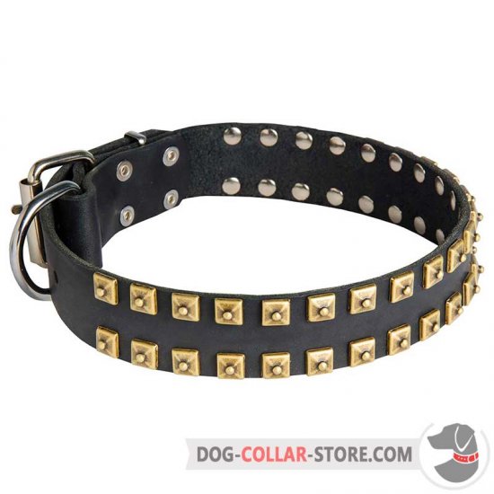 Premium Quality Wide Leather Dog Collar with Hand-Set Brass Studs