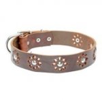 'Elegant Flower' Leather Dog Collar for Pleasant Walking