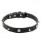"Pirate" Genuine Leather Dog Collar 1 inch (25 mm) Wide