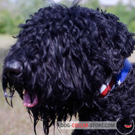 Leather Black Russian Terrier Collar With Painted American Flag